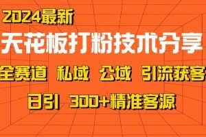 天花板打粉技术分享，野路子玩法 曝光玩法免费矩阵自热技术日引2000+精准客户