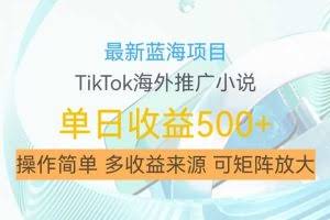 最新蓝海项目，利用tiktok海外推广小说赚钱佣金，简单易学，日入500+，可矩阵放大【揭秘】