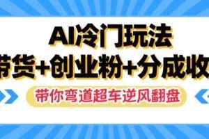 AI冷门玩法，带货+创业粉+分成收益，带你弯道超车，实现逆风翻盘【揭秘】