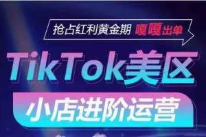 TikTok Shop美区小店进阶运营，快速掌握各流量渠道玩法，抢占红利黄金期，嘎嘎出单