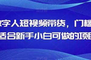 AI数字人短视频带货，门槛低，适合新手小白可做的项目