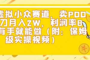 闲鱼虚拟小众赛道，卖PDD砍一刀月入2W，利润率80%，有手就能做（附：保姆级实操视频）