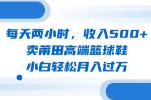 每天两小时，收入500+，卖莆田高端篮球鞋，小白轻松月入过万（教程+素材）【揭秘】