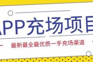 外面收费9800的APP充场项目，实操一天收入800+个人和工作室都可以做