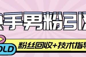 快手男粉引流项目，一个粉4元，轻松日赚300+案例分享【粉丝包回收】