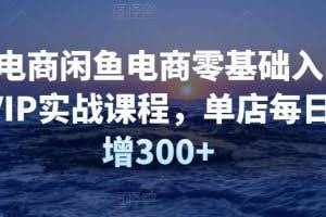 圣域电商闲鱼电商零基础入门到进阶VIP实战课程，单店每日净利增300+