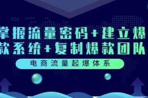 电商流量起爆体系：掌握流量密码+建立爆款系统+复制爆款团队（价值599）