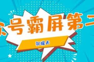 公众号霸屏SEO特训营第二期，普通人如何通过拦截单日涨粉1000人快速赚钱！