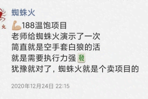 蜘蛛火二手书温饱小项目，新手也可以日赚200+【视频课程】