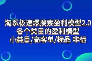 淘系极速爆搜索盈利模型2.0,各个类目的盈利模型,小类目/高客单/标品 非标