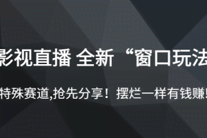 影视直播 全新“窗口玩法”，特殊赛道,抢先分享！摆烂一样有钱赚!