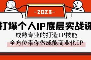 打爆·个人IP底层实战课，成熟专业的打造IP技能 全方位带你做成能商业化IP