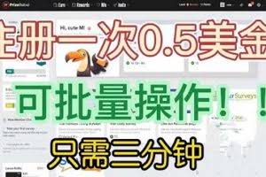 国外项目注册一次0.5美金 只需三分钟无脑操作 可批量放大 小白工作室福利