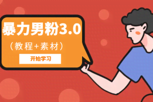暴力男粉3.0：高利润的项目（详细教程+素材）