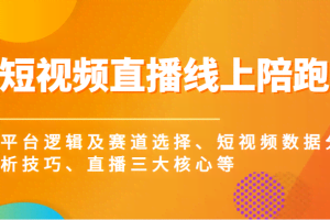 短视频直播线上陪跑，平台逻辑及赛道选择、短视频数据分析技巧、直播三大核心等