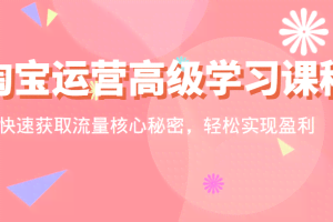 淘宝运营高级学习课程：快速获取流量核心秘密，轻松实现盈利！