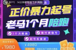 正价暴力起实操号：0粉丝0作品起号实操，微付费稳号（价值1980元）