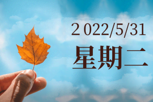 通过替换文本图片，网上赚钱，3分钟即可轻松赚20美金【视频教程】