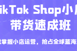 TikTok Shop小店带货速成班，轻松掌握小店运营，抢占全球蓝海流量，一店卖全球