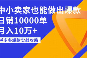 拼多多爆款实战攻略：中小卖家也能做出爆款，日销10000单，月入10万+
