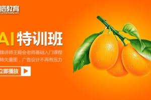 夜猫教育AI特训班（玩转矢量图，广告设计不再有压力）共11节【价值188元】