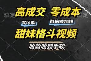 （13384期）高成交零成本，售卖甜妹格斗视频，谁发谁火，加爆微信，收款收到手软