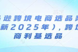 亚马逊跨境电商选品案例(更新2025年2月)，跨境电商利基选品