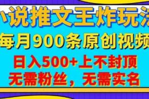 小说推文王炸玩法，一键代发，每月最多领900条原创视频，播放量收益日入5张，无需粉丝，无需实名【揭秘】