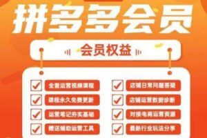 2025拼多多运营实战课，40节全流程教学，覆盖拼多多运营全链路