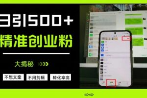 不需要我们去想文案，也不需要我们去剪辑视频，日引500+精准创业粉，方法大揭秘