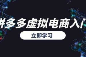 拼多多虚拟电商入门，精准选品方法论，无货源模式起盘技巧