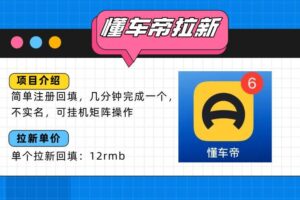 （15661期）懂车帝邪修拉新玩法，简单注册回填，不sm，单个拉新12rmb，轻松日入200+