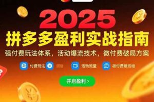 （15357期）拼多多盈利实战指南，强付费玩法，活动爆流技术，微付费破局方案(更新7月)