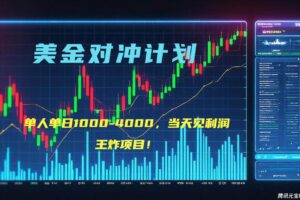 （15333期）2025年最暴力项目“美金先登计划”最新最强对冲战法，每日实际收益1K-4K