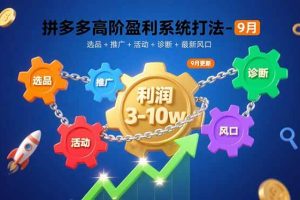 (15916期)拼多多高阶盈利系统打法-9月:选品+推广+活动+诊断+最新风口,月利润3-10w