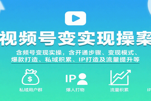 视频号变现实操，含开通步骤、变现模式、爆款打造、私域积累、IP打造及流量提升等