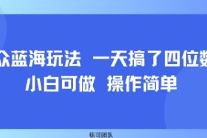 小众蓝海玩法 一天搞了四位数 小白可做 操作简单