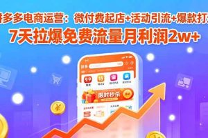 (15960期)拼多多电商运营:微付费起店+活动引流+爆款打造 7天拉爆免费流量月利润2w+