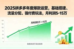(15973期)2025拼多多年度爆款运营,基础搭建、流量分配、强付费玩法,月利润5-15万