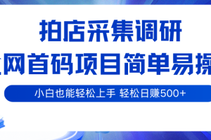 拍店采集调研，全网首码项目，简单易操作， 小白也能轻松上手，轻松日赚500+