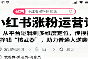 小红书涨粉运营课：从平台逻辑到多维度定位，传授挣钱 “核武器”，助力普通人逆袭