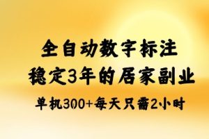 全自动数字标注，稳定3年的蓝海项目，居家也能矩阵开干的副业，单机日入3张+【揭秘】