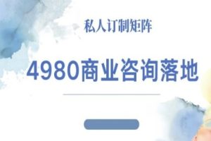 4980商业咨询师落地课程-ip运营高客单教程
