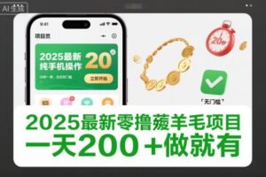 2025最新零撸薅羊毛项目，纯手机操作，20秒一单，无任何门槛，一天200+做就有【揭秘】