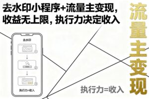 去水印小程序+流量主变现，收益无上限，执行力决定收入