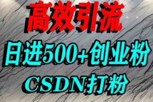 怎么打创业粉？CSDN又一个你不知道的打粉引流神秘平台，单人日引500+精准流量