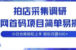 拍店采集调研，全网首码项目，简单易操作， 小白也能轻松上手，多账号操作，轻松日入5张【揭秘】