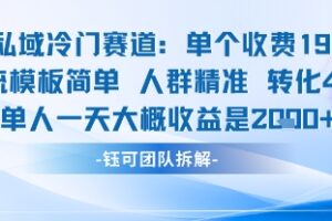私域冷门赛道单个收费198米引流模板简单人群精准 45%的转化率单人一天大概收益多张
