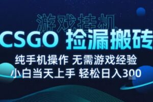 8月最新游戏搬砖，CSGO纯挂G，不需要玩游戏，实现真挂G，月入1W+【揭秘】