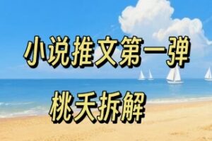 小说推文项目操作全流程第一弹，0粉就能做，门槛低非常适合新手